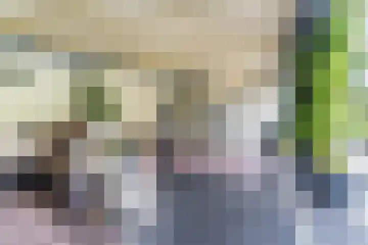 Uitoord 29 Breda thumbnail 45