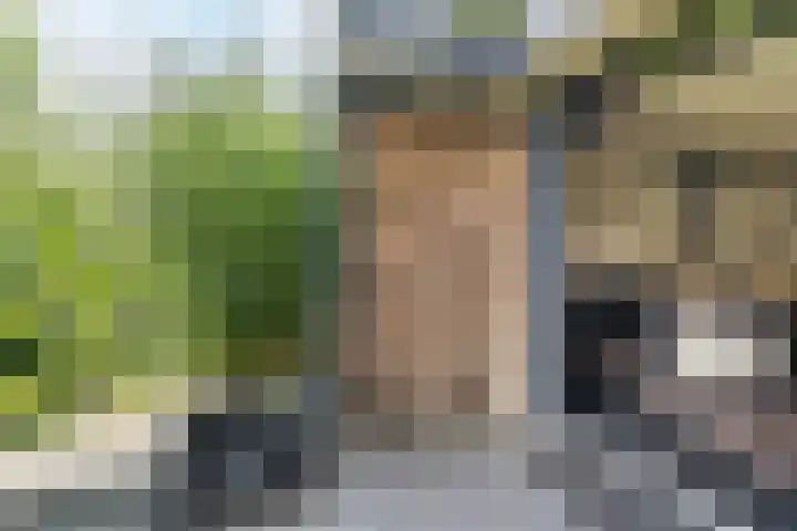 Uitoord 29 Breda thumbnail 47