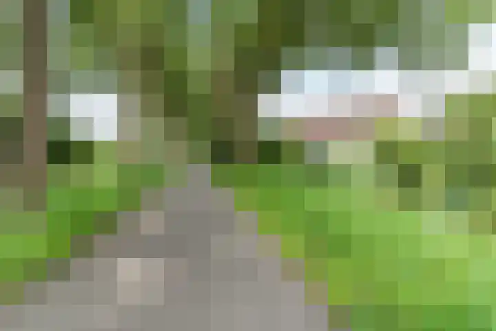 Uitoord 29 Breda thumbnail 52