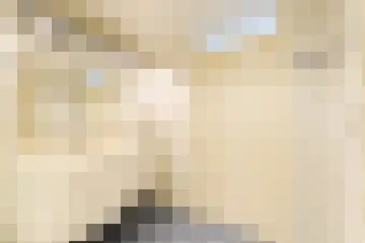 Uitterlier 25 De Lier thumbnail 14