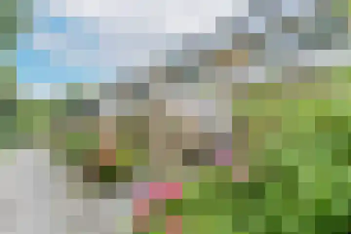 Uitterlier 25 De Lier thumbnail 27