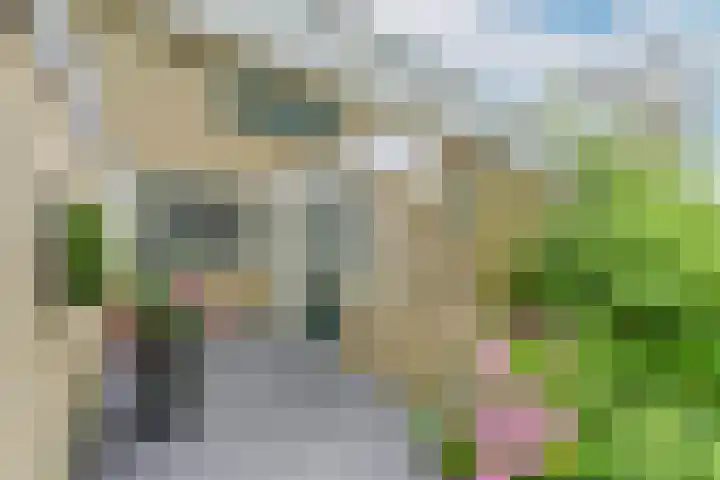 Uitterlier 25 De Lier thumbnail 5