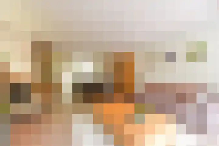 Uitterlier 25 De Lier thumbnail 8