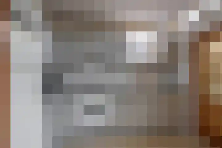 Uitweg 6 Krommenie thumbnail 16