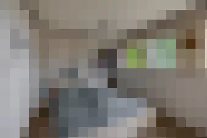 Uitweg 6 Krommenie thumbnail 22