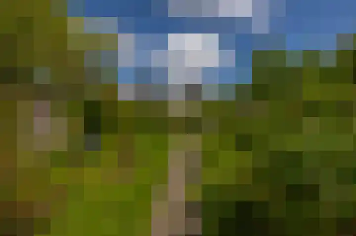 Uitweg 6 Krommenie thumbnail 34