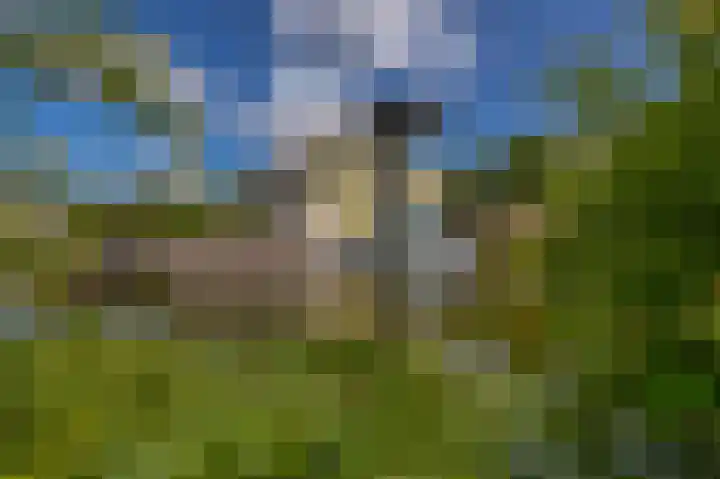 Uitweg 6 Krommenie thumbnail 4
