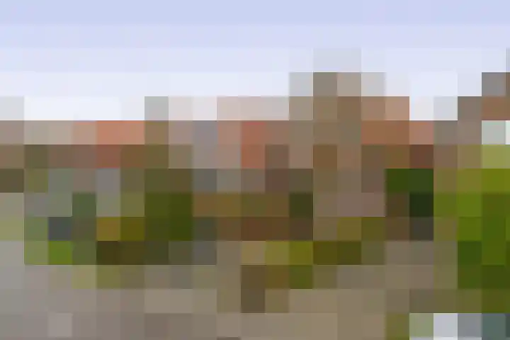 Uitweg 6 Krommenie thumbnail 6