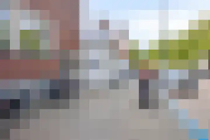 Uiver 3 in Hank