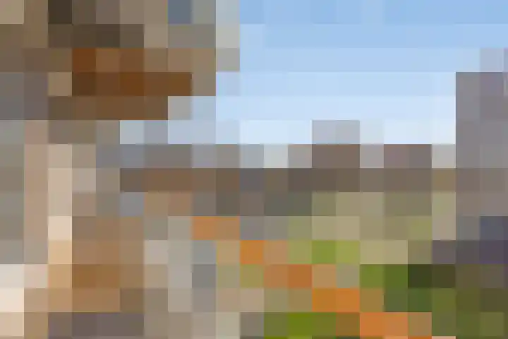 Uiverhof 16 Beverwijk thumbnail 20