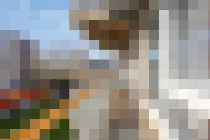 Uiverhof 16 Beverwijk thumbnail 21