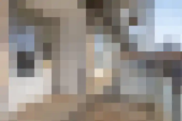 Uiverhof 16 Beverwijk thumbnail 22