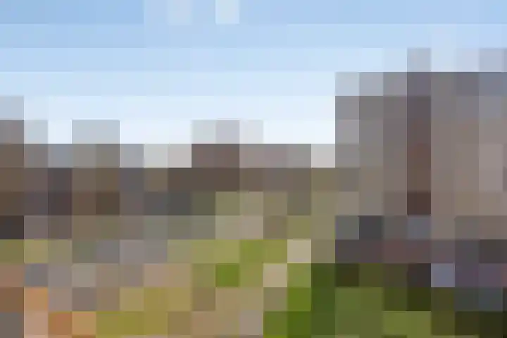 Uiverhof 16 Beverwijk thumbnail 24