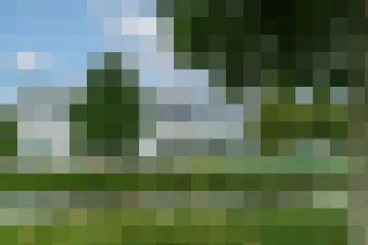 Uiverhof 16 Beverwijk thumbnail 6