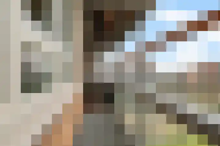 Uiverhof 74 Beverwijk thumbnail 18