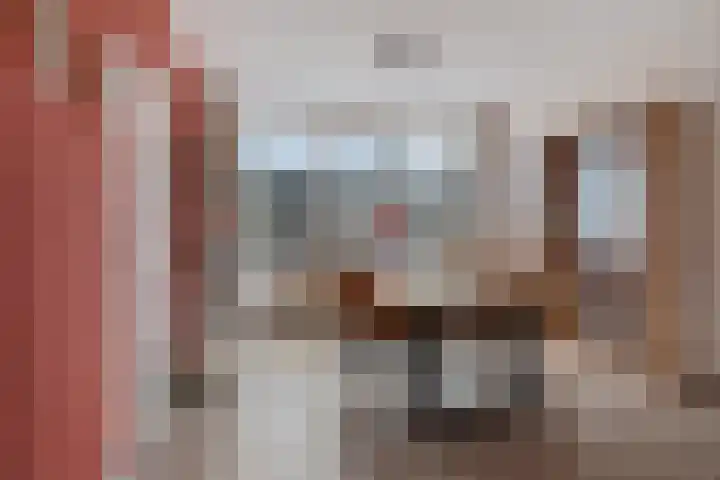 Uiverhof 74 Beverwijk thumbnail 6