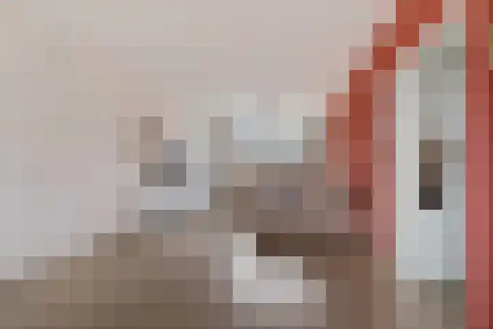 Uiverhof 74 Beverwijk thumbnail 8