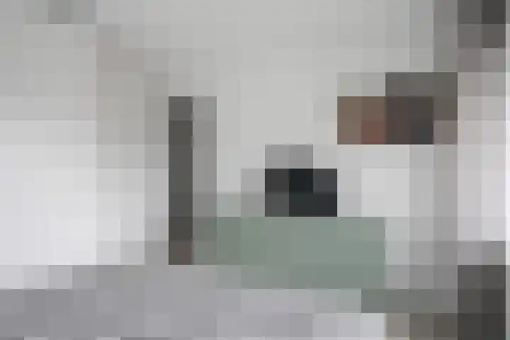 Uiverlaan 38 Helmond thumbnail 20
