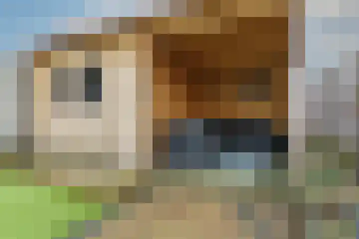 Uiverlaan 38 Helmond thumbnail 31