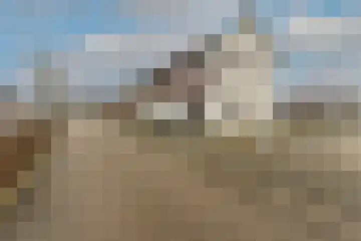Uiverlaan 38 Helmond thumbnail 6