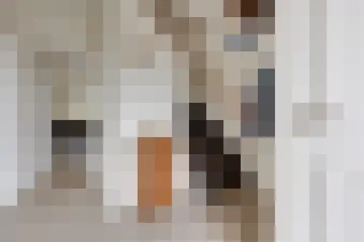 Uiverstraat 3 Azewijn thumbnail 19