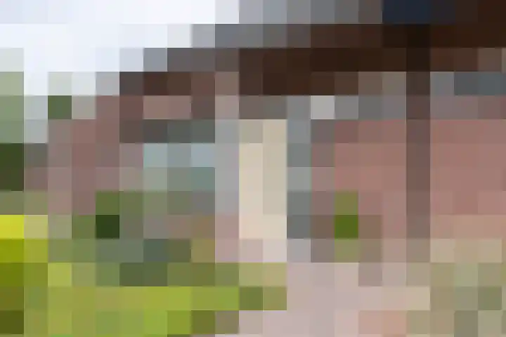 Uiverstraat 3 Azewijn thumbnail 6