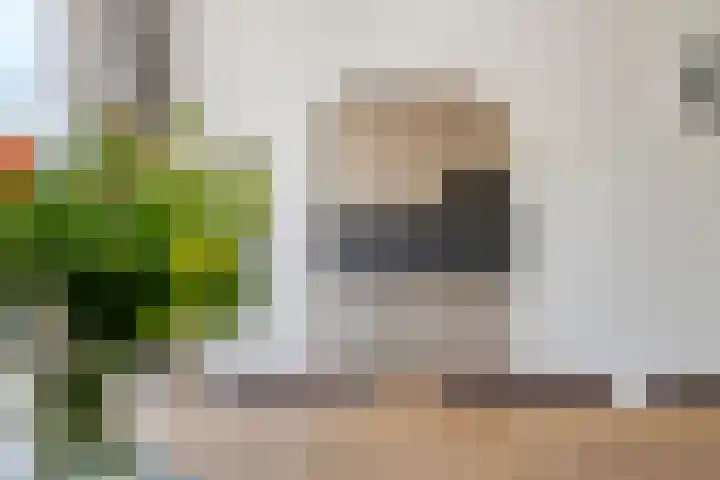 Uiverstraat 5 Maurik thumbnail 13
