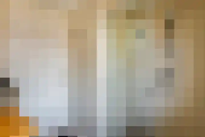 Uiverstraat 5 Maurik thumbnail 33