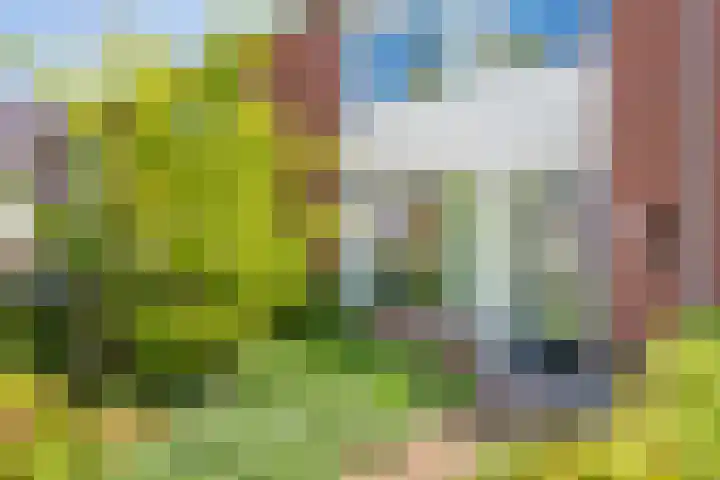 Uiverstraat 5 Maurik thumbnail 4