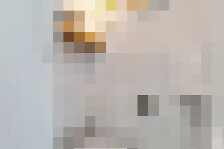 Uiverstraat 5 Maurik thumbnail 7