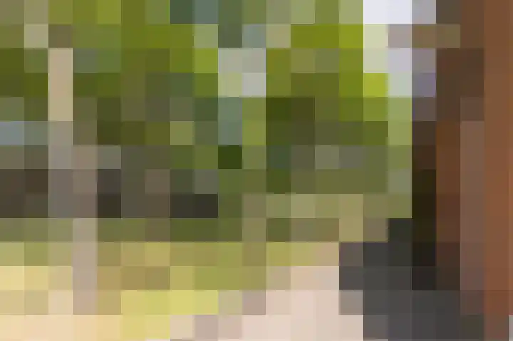 Ukkelhof 15 Amsterdam thumbnail 27