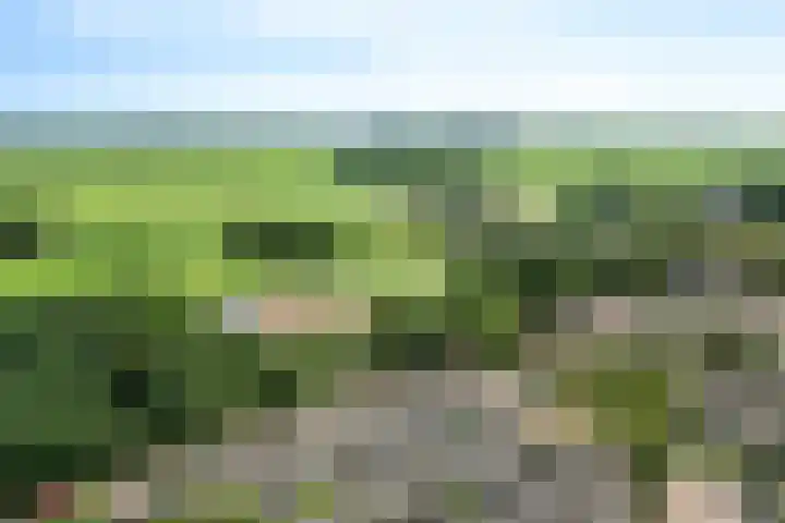 Ulbe van Houtenstrjitte 88 in Gytsjerk