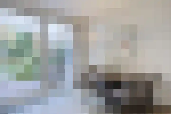 Ulenpas 8 Eindhoven thumbnail 16
