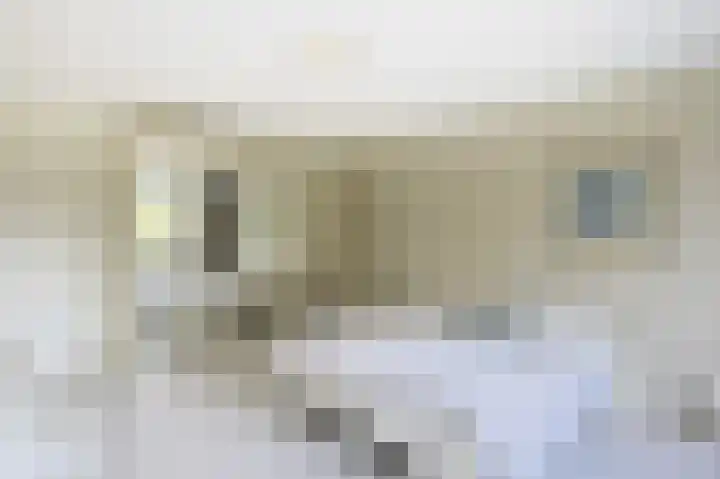 Ulenpas 8 Eindhoven thumbnail 33