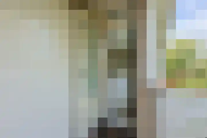 Ulenpas 8 Eindhoven thumbnail 37