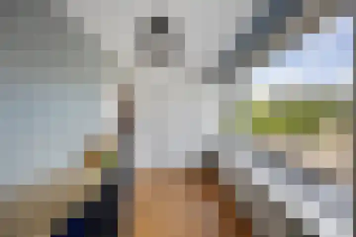 Ulenpaslaan 17 Arnhem thumbnail 32