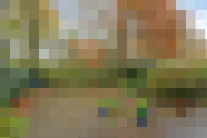 Ulenpaslaan 41 Arnhem thumbnail 27