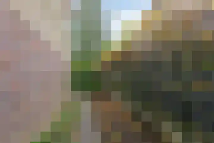 Ulenpaslaan 41 Arnhem thumbnail 30