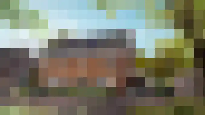 Ulepad 34 Pannerden foto 2