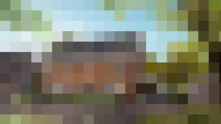 Ulepad 36 Pannerden foto 2