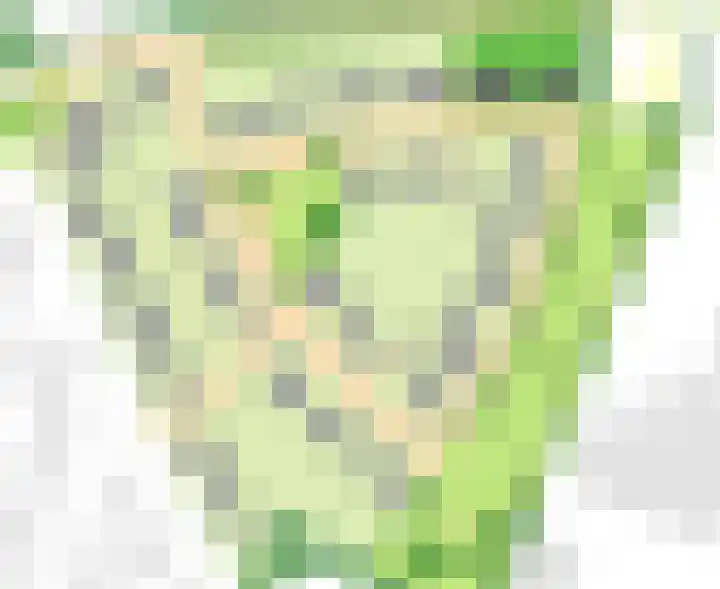 Ulepad 36 Pannerden thumbnail 7