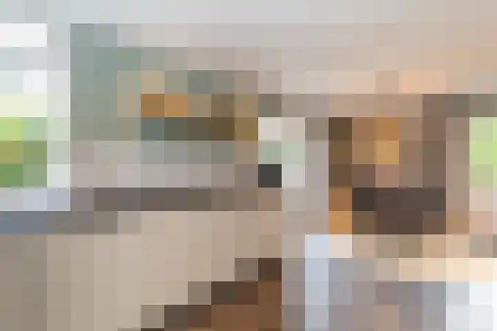 Ulftseweg 63 Silvolde thumbnail 12