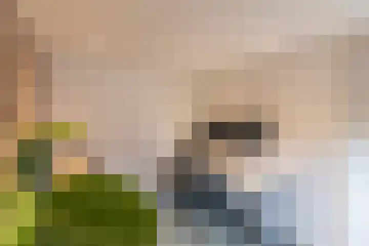 Ulftseweg 63 Silvolde thumbnail 32