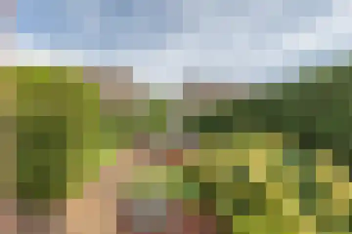 Ulftseweg 63 Silvolde thumbnail 36