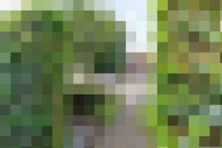 Ulftseweg 63 Silvolde thumbnail 39