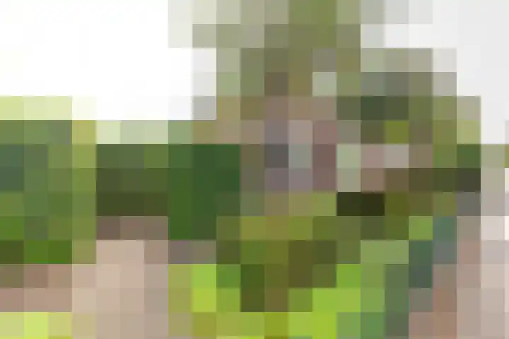 Ulftseweg 63 Silvolde thumbnail 4