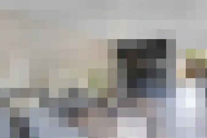 Unia 6 Drachten thumbnail 10