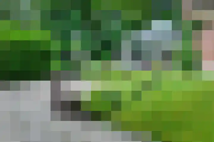 Unia 6 Drachten thumbnail 16