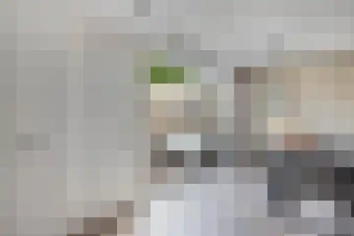 Unia 6 Drachten thumbnail 18