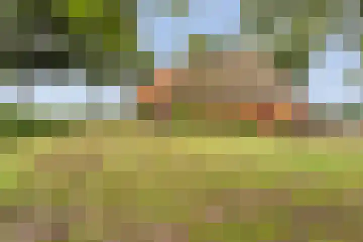 Unia 6 Drachten thumbnail 19